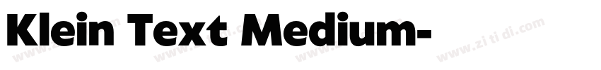 Klein Text Medium字体转换